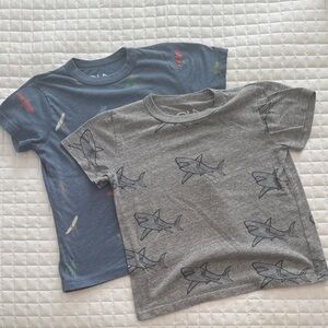 Chaser Gray and Blue Shark Print Tees